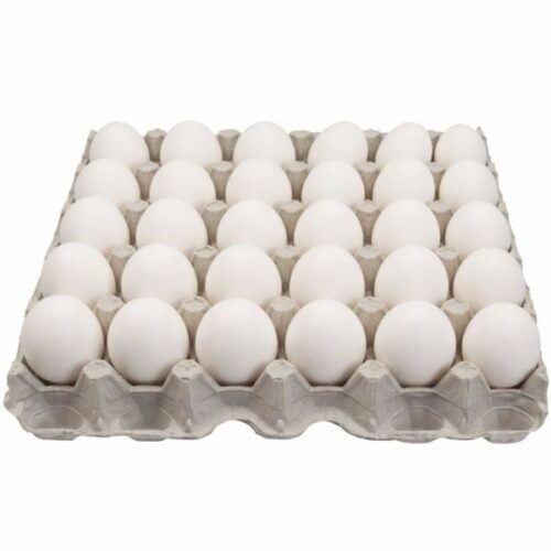 Egg
