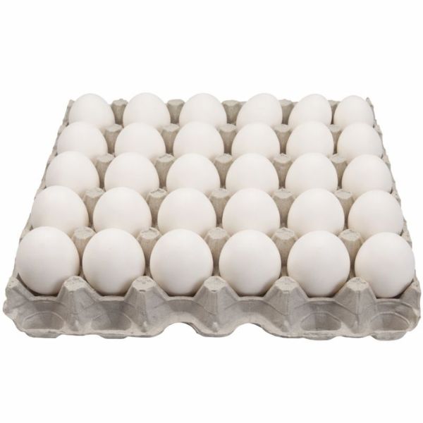 Egg
